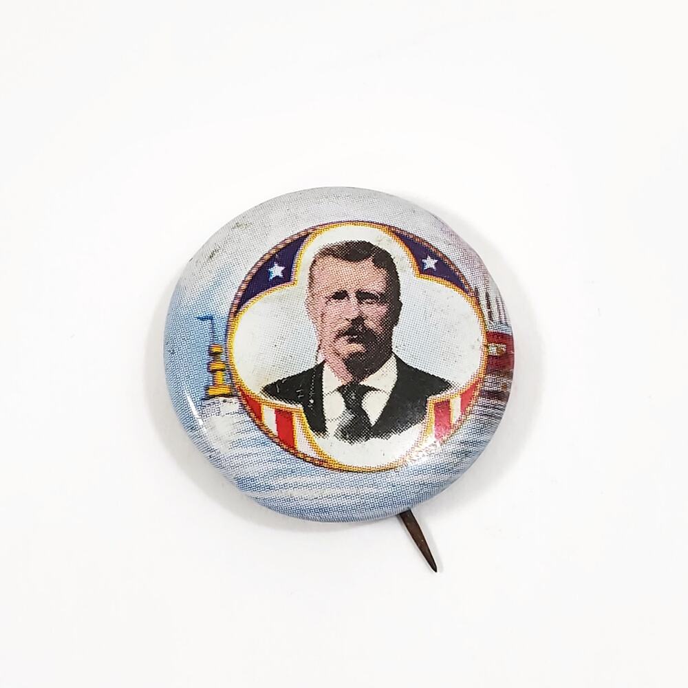 Roosevelt 1904 & President Nixon Now More Than Ever Campaign Buttons Pin